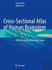 Cross-Sectional Atlas Of Human Brainstem