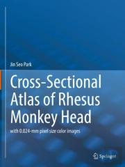 Cross-Sectional Atlas Of Rhesus Monkey Head
