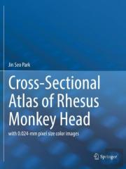 Cross-Sectional Atlas Of Rhesus Monkey Head