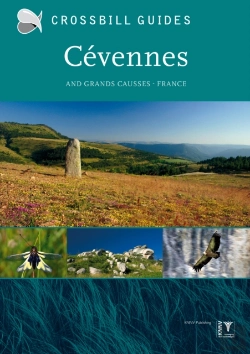 Bertrand.pt - Crossbill Nature Guide Cevennes