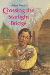 Crossing The Starlight Bridge
