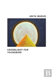 Crosslight For Youngbird