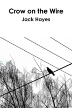 Bertrand.pt - Crow On The Wire