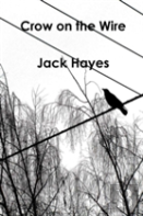 Crow On The Wire