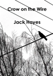 Crow On The Wire