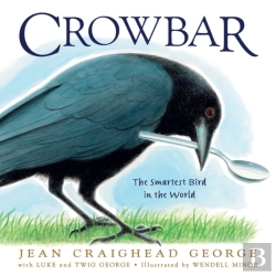 Bertrand.pt - Crowbar