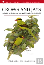Crows And Jays