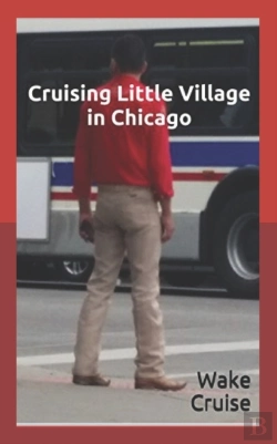 Bertrand.pt - Cruising Little Village In Chicago