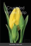 Crumpled Yellow Tulip