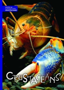 Bertrand.pt - Crustaceans