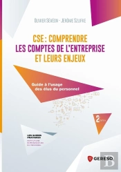 Cse : Comprendre Les Comptes De L'Entreprise Et Leurs Enjeux : Guide À L'Usage Des Élus Du Personnel (2e Édition)
