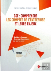 Cse : Comprendre Les Comptes De L'Entreprise Et Leurs Enjeux - Guide A L'Usage Des Elus Du Personnel