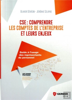Bertrand.pt - Cse : Comprendre Les Comptes De L'Entreprise Et Leurs Enjeux - Guide A L'Usage Des Elus Du Personnel