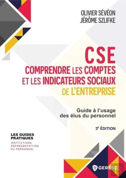 Bertrand.pt - Cse : Comprendre Les Comptes Et Les Indicateurs Sociaux De L'Entreprise : Guide À L'Usage Des Élus Du Personnel