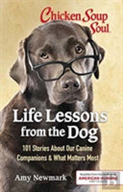Css Life Lessons Dog