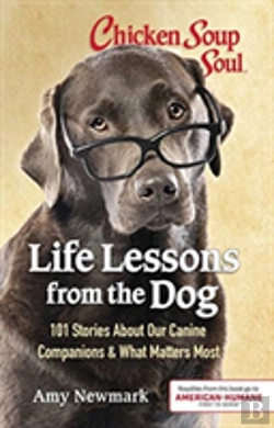 Bertrand.pt - Css Life Lessons Dog