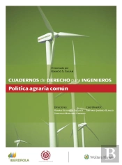Cuadernos De Derecho Para Ingenieros (N.º 51)