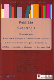 Cuadernos Prácticos Bolonia. Familia. Cuaderno Iv. Patria Potestad, Filiación Y Adopción.