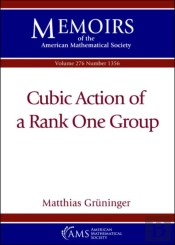 Cubic Action Of A Rank One Group