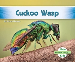 Bertrand.pt - Cuckoo Wasp