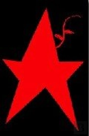 Cuentos De La Estrella Legumbre