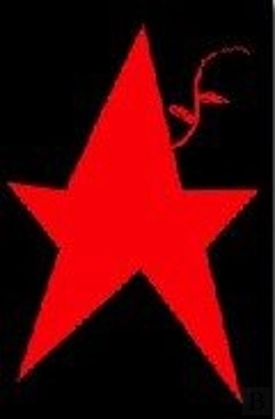 Bertrand.pt - Cuentos De La Estrella Legumbre