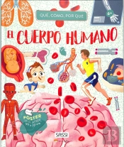 Cuerpo Humano Cuando Como Por Que