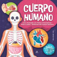 Cuerpo Humano