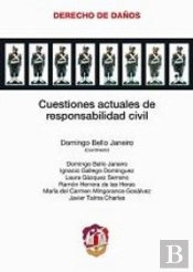Cuestiones Actuales De Responsabilidad Civil