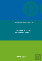 Cuestiones Actuales Del Derecho Aéreo