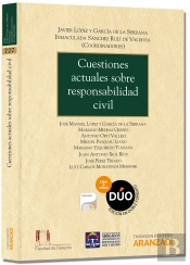 Cuestiones Actuales Sobre Responsabilidad Civil (Papel + E-Book)