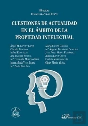 Cuestiones De Actualidad En El Ámbito De La Propiedad Intelectual
