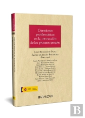 Cuestiones Problematicas En La Instruccion De Los Procesos Penales