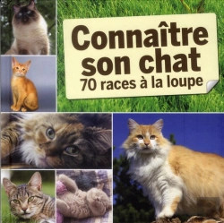 Bertrand.pt - Cuisine De Grand-Mere N 2