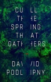 Cull The Spring That Gathers
