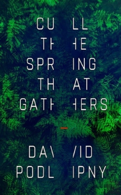 Bertrand.pt - Cull The Spring That Gathers