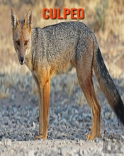 Culpeo