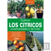 Cultivar Los Cítricos Ornamentales Y De Fruto