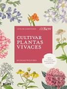Cultivar Plantas Vivaces