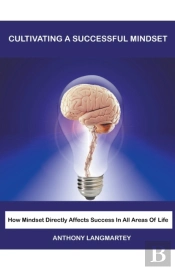 Cultivating A Successful Mindset