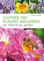 Cultiver Des Plantes Melliferes En Ville Et Au Jardin