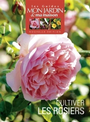 Cultiver Les Rosiers