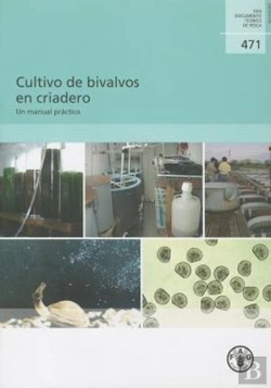 Bertrand.pt - Cultivo De Bivalvos En Criadero