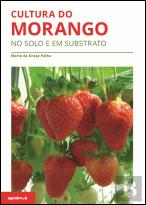 Cultura do Morango
