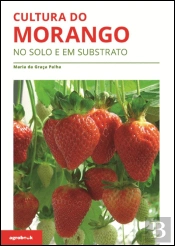 Cultura do Morango