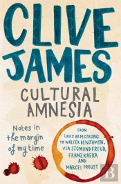 Cultural Amnesia