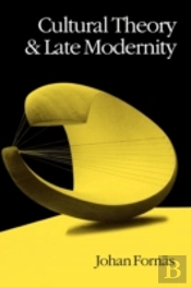 Cultural Theory And Late Modernity