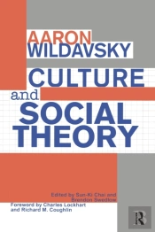 Culture And Social Theory