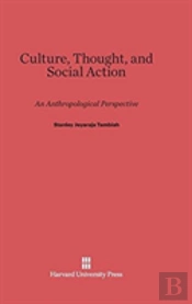 Culture, Thought, And Social Action