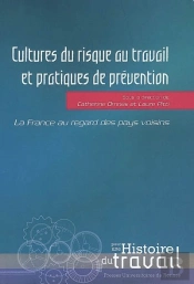 Cultures Du Risque Au Travail Et Pratiques De Prévention ; La France Au Regard Des Pays Voisins